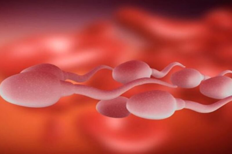 विश्वको पहिलो ‘वीर्य दौड प्रतियोगिता’, कारण रहेछ निकै गम्भीर !